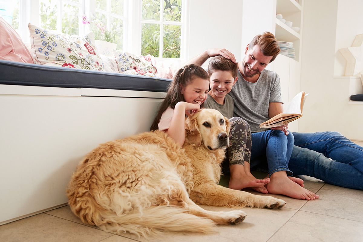 Familie liest Zwei Kinder sitzen auf dem Boden neben ihrem Papa, der ein Buch in der Hand hält und einem ruhigen Golden Retriever in einem hellen Wohnzimmer